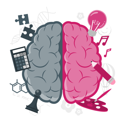 brain sides-cuate brain sides-cuate